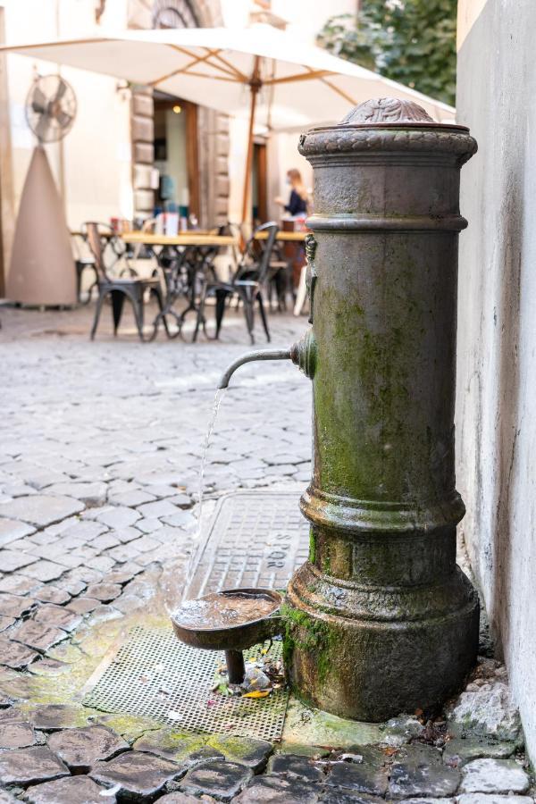 Affittacamere O Magenta Fico 2 Roma